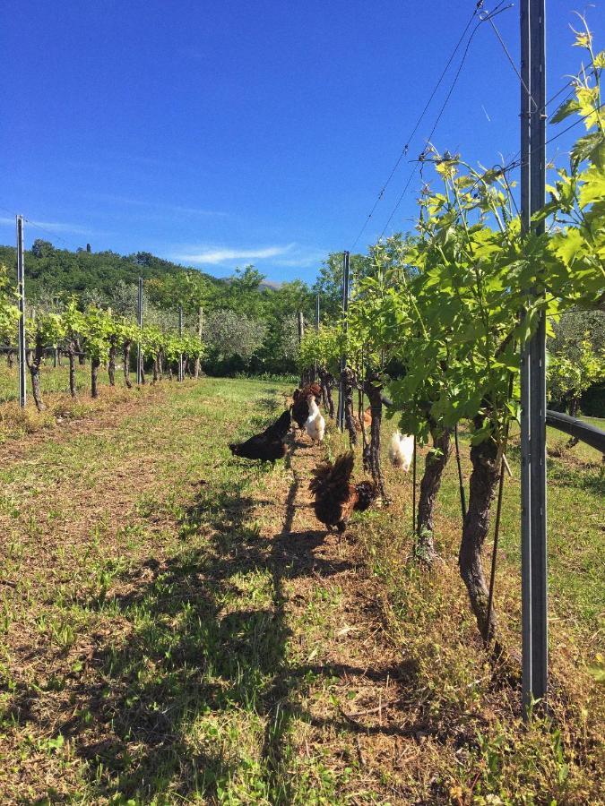 Agriturismo Ca' Cristane Rivoli Veronese Luaran gambar